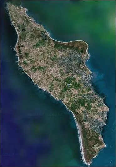 De quelle le s'agit-il?