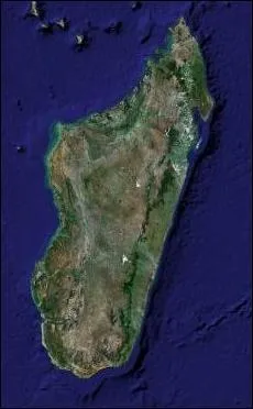 De quelle le s'agit-il?