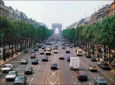 Un des premiers symboles de la France, réservée aux défilés militaires du 14 juillet, elle est considérée par les Parisiens comme la plus belle avenue du monde. Tous les ans, au soir du 31 décembre, elle est réservée aux piétons. C'est :
