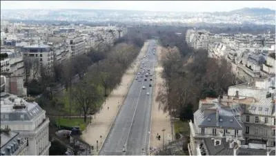L'avenue Foch, l'une des douze avenues de l'Etoile, majestueuse avec ses 120 mtres de largeur grce aux jardins qui la bordent, a une particularit unique  Paris. Ses larges alles situes entre la chausse et les arbres ne sont pas goudronnes. Pourquoi ?