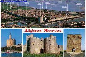 Je vous envoie une carte postale de la ville Gardoise d'Aigues-Mortes. J'tais donc en rgion ...