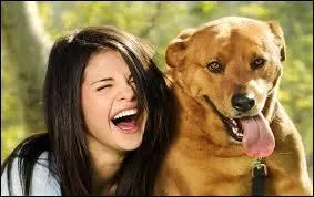 Combien a-t-elle sorti d'albums (en 2013) ?