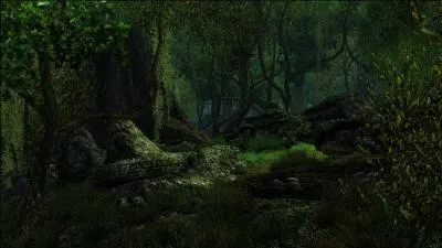 Quel est cet endroit ?