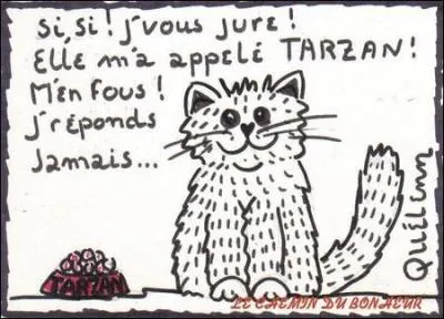 Pour viter les malentendus, il faut appeler un chat un chat, donc : (2 rponses)