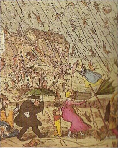 L'expression anglaise  It's raining cats and dogs.   devient  Il pleut des chats et des chiens.  , en franais. Elle veut dire : (1 rponse)