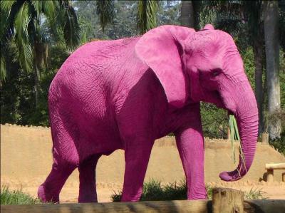 Si quelqu'un vous dit  I'm seeing pink elephants , quelle réaction est la plus appropriée de votre part ?