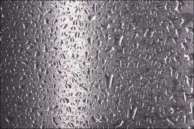  Grey matter . En avez-vous ou pas ?