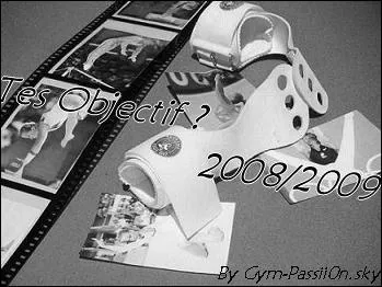 Quel est l'accessoire qu'il y a sur la photo?