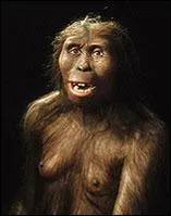 Lucy constitue le premier fossile relativement complet qui ait t dcouvert pour une priode aussi ancienne. Elle a rvolutionn notre perception des origines humaines, en dmontrant que l'acquisition de la marche bipde datait de 3  4 millions d'annes. Sur les bords de quelle rivire a-t-elle t dcouverte ?