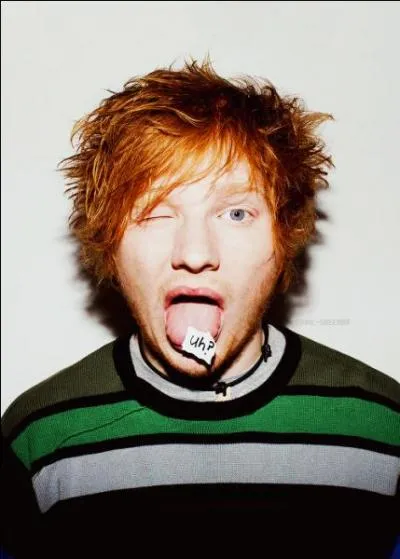 Qui est un des meilleurs amis d'Ed Sheeran parmi les 1D ?