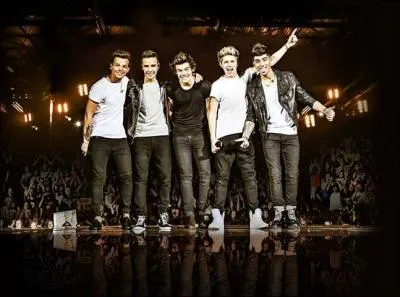 Un des garons a post plusieurs vidos sur YouTube avant X Factor, de qui s'agit-il ?