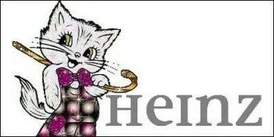 D'où provient le prénom Heinz ?