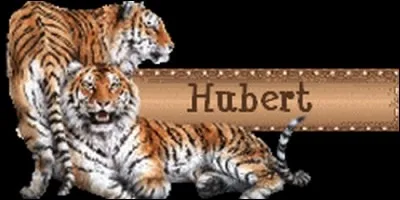 Quand fête-t-on les Hubert ?