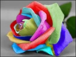 Comment dit-on  multicolore  en anglais ?