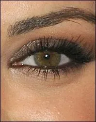 A qui appartient cet il ?