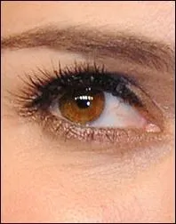 A qui appartient cet il ?