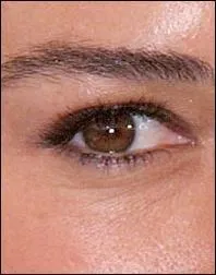 A qui appartient cet il ?