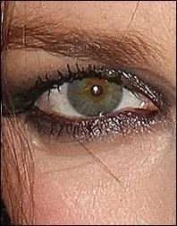 A qui appartient cet il ?