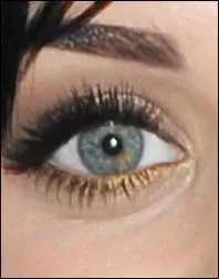 A qui appartient cet il ?