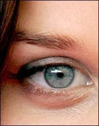 A qui appartient cet il ?