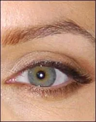 A qui appartient cet il ?