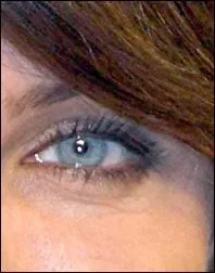 A qui appartient cet il ?