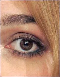 A qui appartient cet il ?