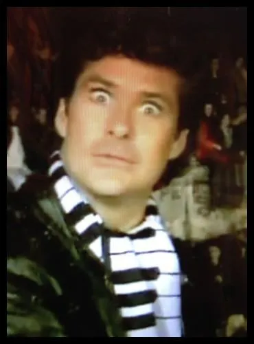 Dans quel pays David Hasselhoff a-t-il t une immense star de la chanson ?