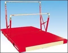 Qui pratique la gymnastique aux agrs ?