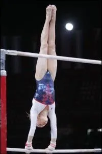 Entre les 3 propositions laquelle est une figure ?