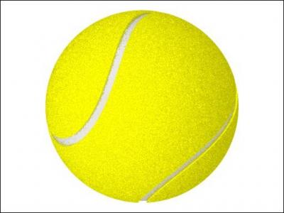 Quel sport utilise cette balle (ce ballon) ?