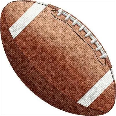 Quel sport utilise cette balle (ce ballon) ?