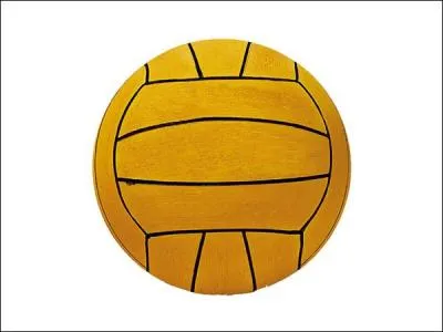Quel sport utilise cette balle (ce ballon) ?
