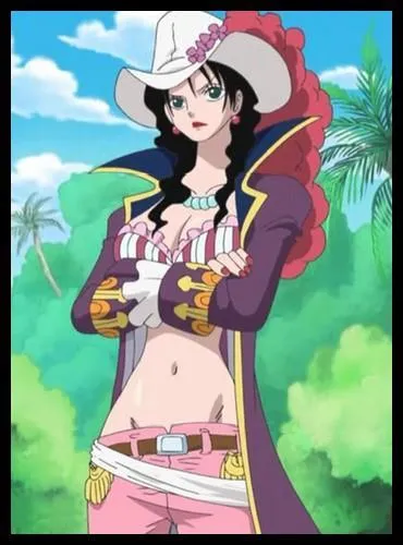 pisode 46 - Dans cet pisode, rapparait Lady Alvida. Quels sont les changements que l'on peut observer sur elle ?