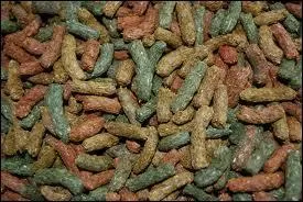 Ces granuls conviennent-ils  un lapin nain ?