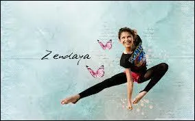 Quel est son genre musical ?