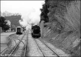 Et  quoi servait-elle ?