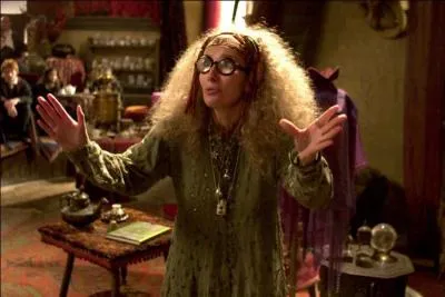 Dans le livre, lorsque Trelawney est vire, il y a un autre professeur de divination :