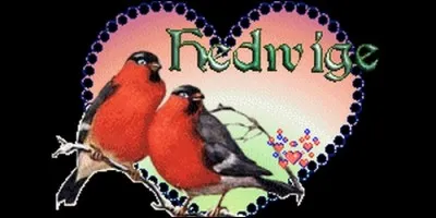 Quelle est l'origine du prénom Hedwige, que l'on fête le 16 octobre ?