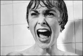 Marion Crane s'enfuit avec l'argent que lui a confi son patron. Elle roule vers une destination qu'elle n'atteindra jamais. Elle s'arrte dans un motel et prend une douche.