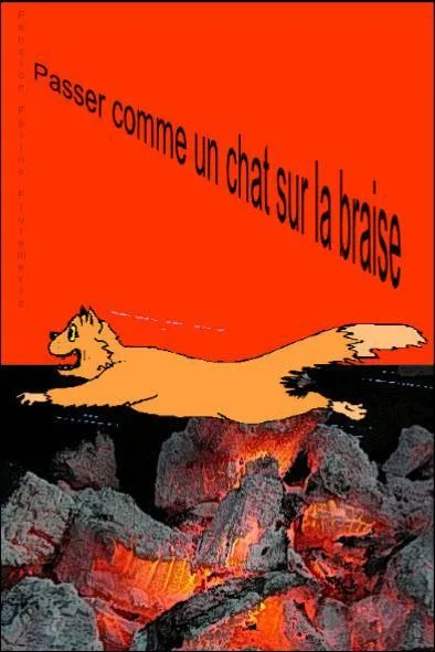  Passer comme un chat sur la braise , c'est aussi :