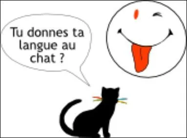 Si vous n'avez pas su rpondre aux questions, vous pouvez donner votre langue au chat, c'est--dire :