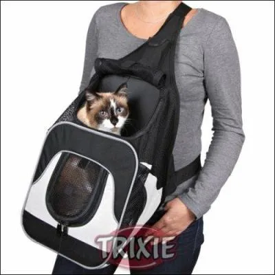 Quel malpoli ! Il part en emportant le chat. Que fait-il ?