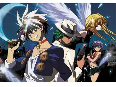 De quel manga s'agit-il ?