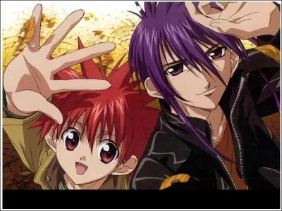 De quel manga s'agit-il ?