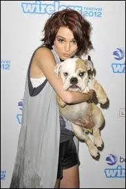 A-t-elle un animal ?