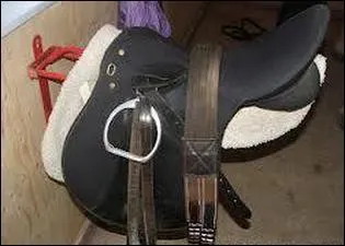 Quel est ce type de selle ?