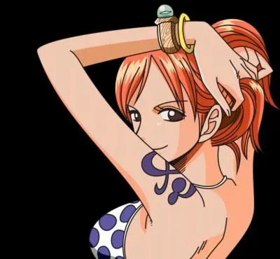 Quel est le rve de Nami ?