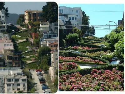 Lombard Street, connue comme tant la rue la plus tordue dans le monde, est constitue de huit virages trs serrs. Cette conception sinueuse a permis de rduire la pente de 27%  16%. O peut-on la voir ?