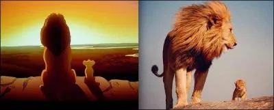 Qui est la femelle de Mufasa ?